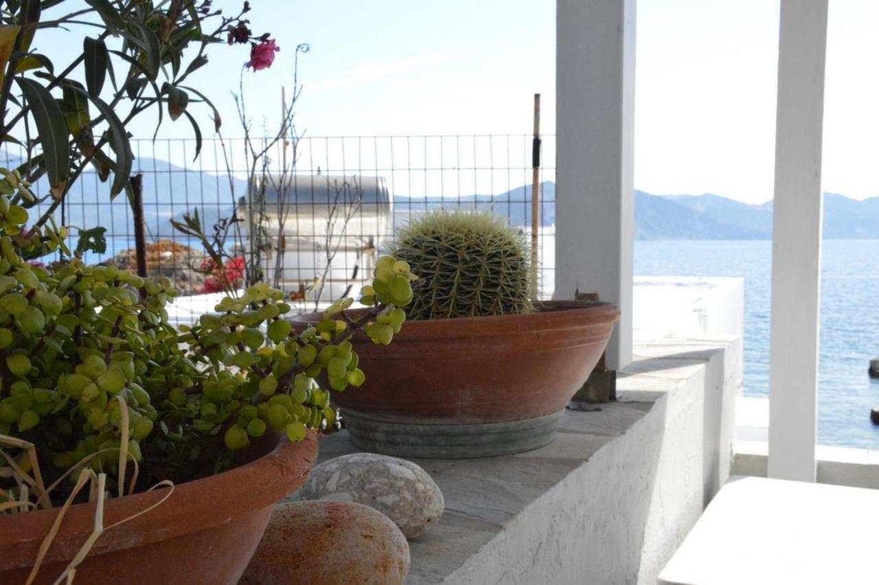 Thalassophile Eco House Villa Pláka Mílu Kültér fotó